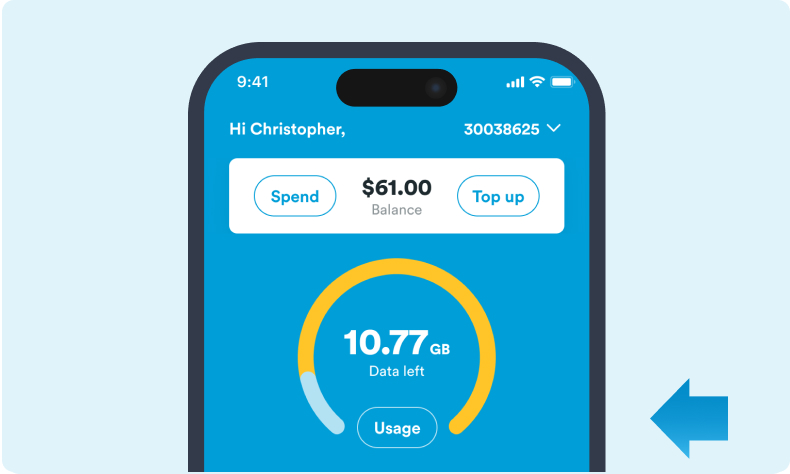 screengrab of the app with your balance